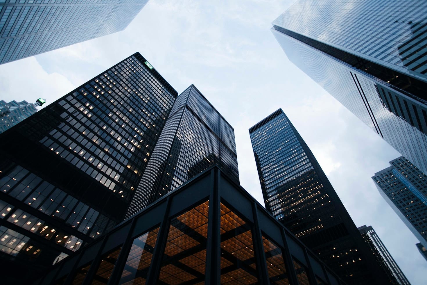 Business and financial growth