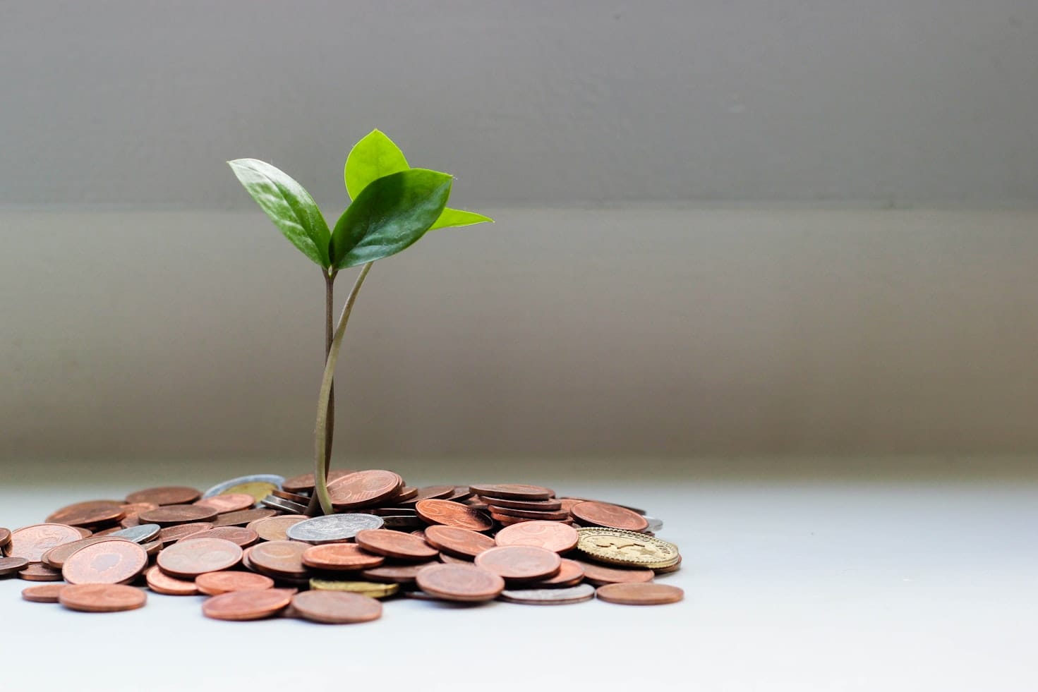 Saving money and personal finance