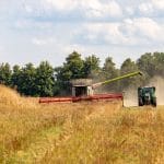 Record Diesel Prices Raise Food Inflation Risks Across the U.S. and Africa